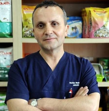 MUSTAFA YILDIZ: “KÖPEK VE KEDİLERDE TIRAŞ ZAMANI YAKLAŞIYOR”