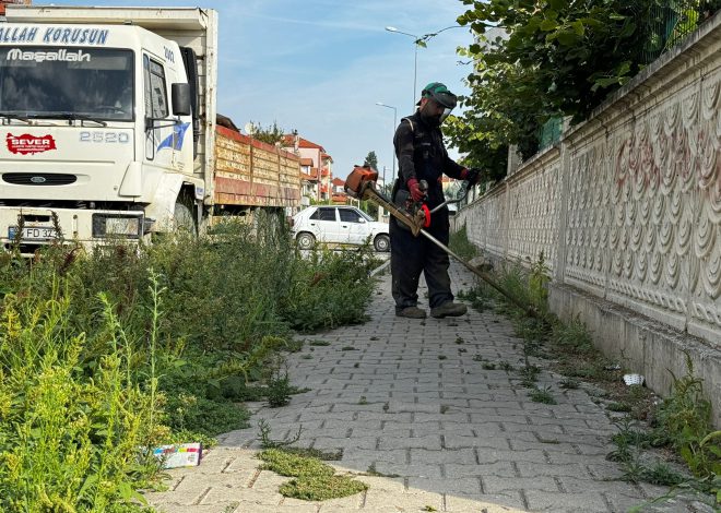 ERENLER’DE PARK VE BAHÇELERDE ÇALIŞMALAR SÜRÜYOR