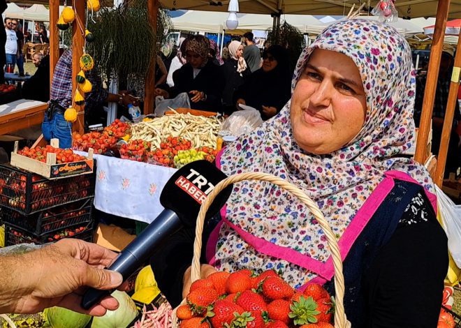 Sakarya’da Çilek Festivali düzenlendi