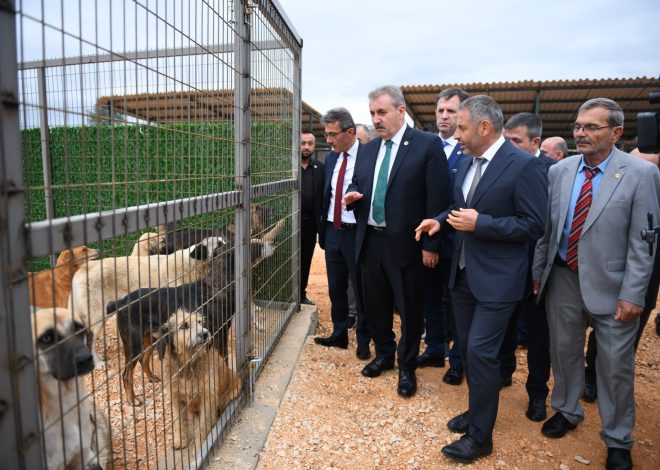 ERENLER BELEDİYESİ SOKAK HAYVANLARI GEÇİCİ BARINMA MERKEZİ AÇILDI